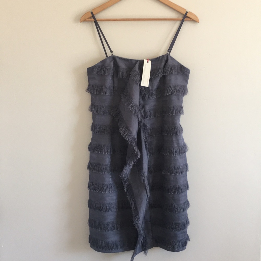 Banana Republic Heritage Collection Fringe Dress 6